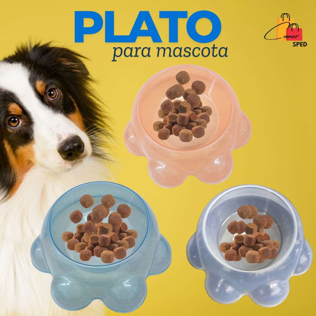 PLATO PARA MASCOTA
