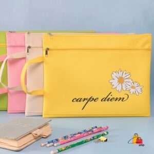 CARPETA ORGANIZADORA    🌼🌻